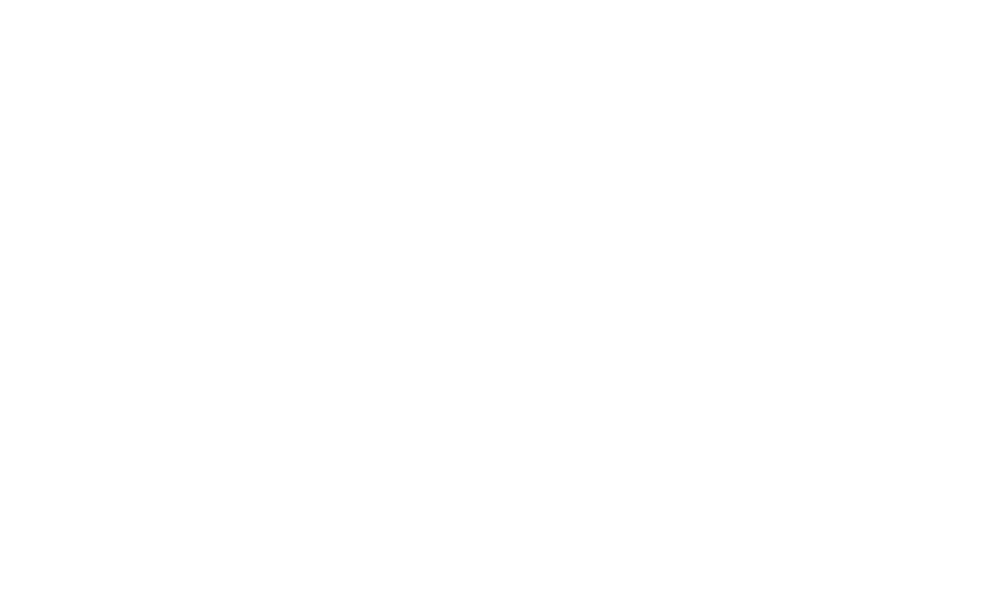 Liberation Ride